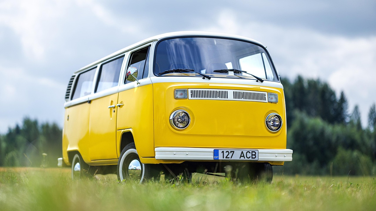 volkswagen, vehicle, classic van, vintage van, volkswagen, volkswagen, vehicle, vehicle, vehicle, vehicle, vehicle